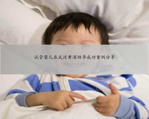 试管婴儿在武汉黄浦助孕成功案例分享